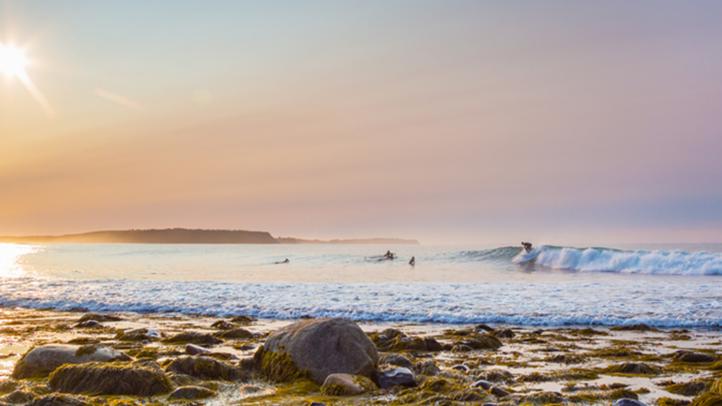 Surfing Eastern Shore