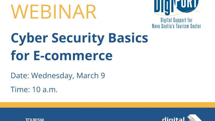 Webinar: Cyber Security Basics for E-commerce